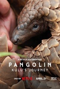 Pangolin: Kulu's Journey Full Movie Download Free 2024 Dual Audio HD